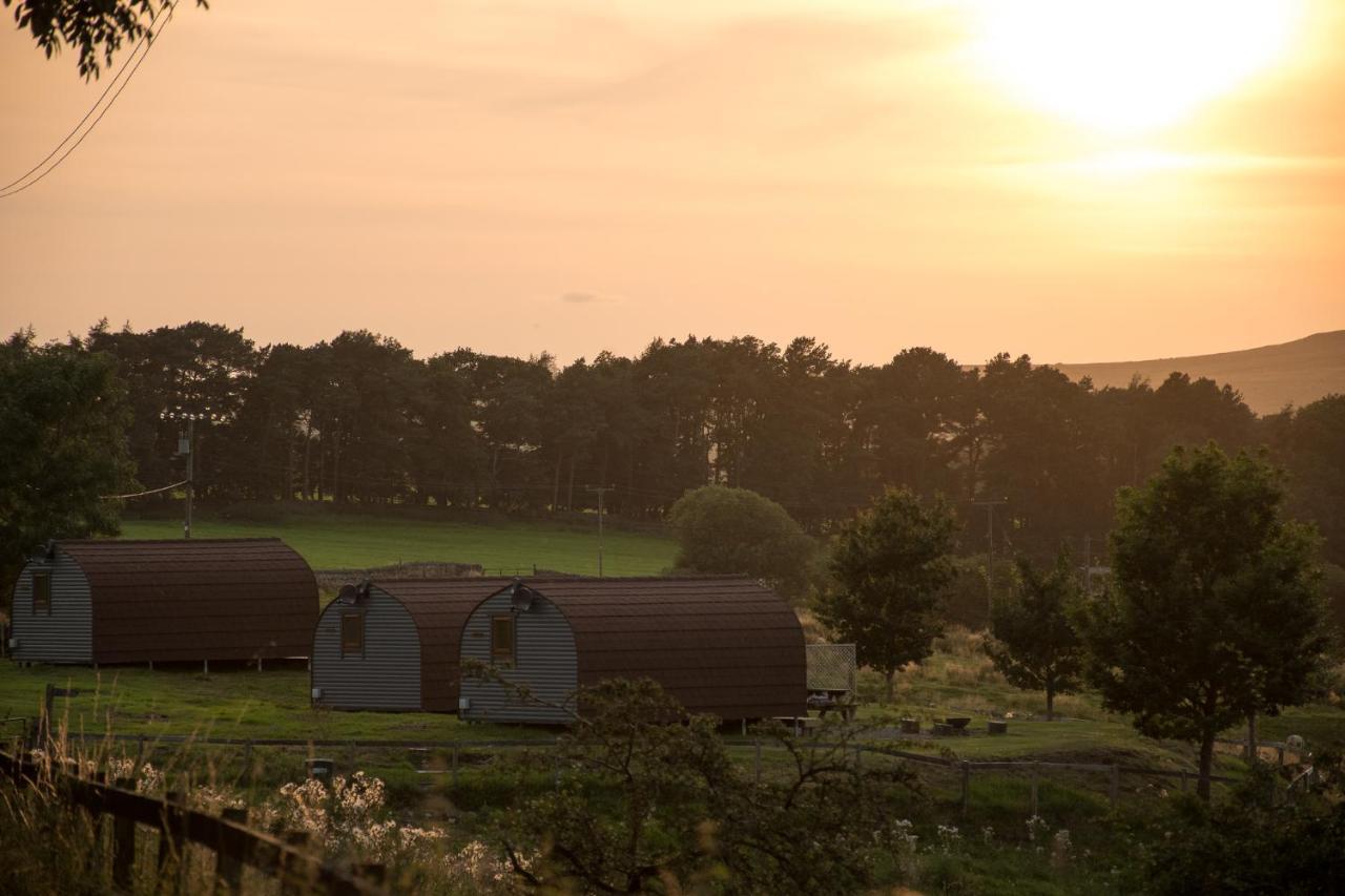 Villa Wild Northumberland Glamping Hexham Exterior foto